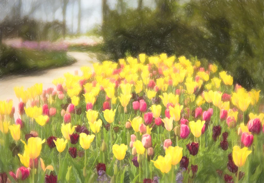 2019-03-30 001 200 - Copy merged 2 BRIGHTER SIZED.jpg