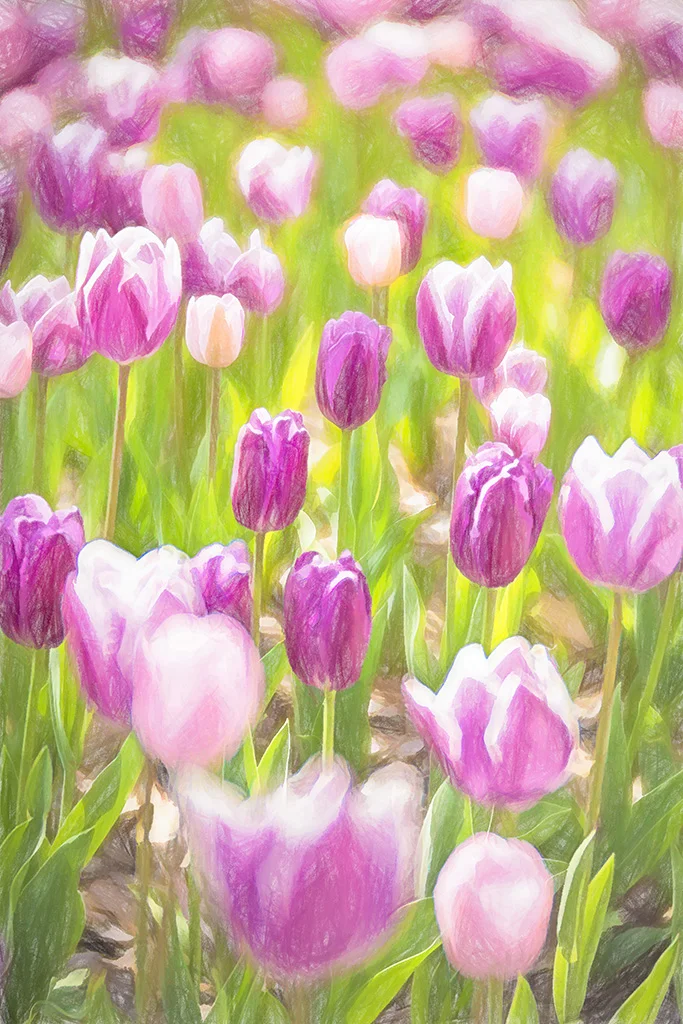 2019-03-30 001 220 merged TOPAZ 2 SIZED.jpg