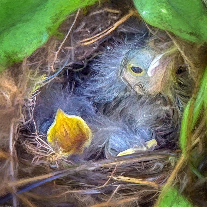 2019-05-31 001 054 DENOISE AI-denoise-aiclear MERGED 2 TOPAZ SIZED.jpg