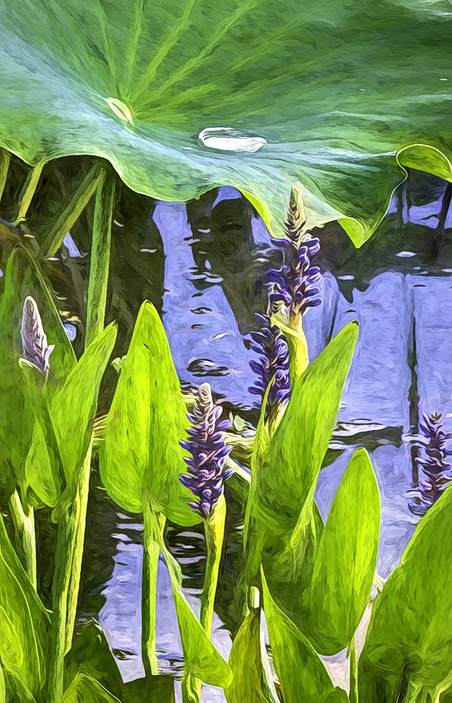 2019-05-30 001 096-Edit TOPAZ sized.jpg