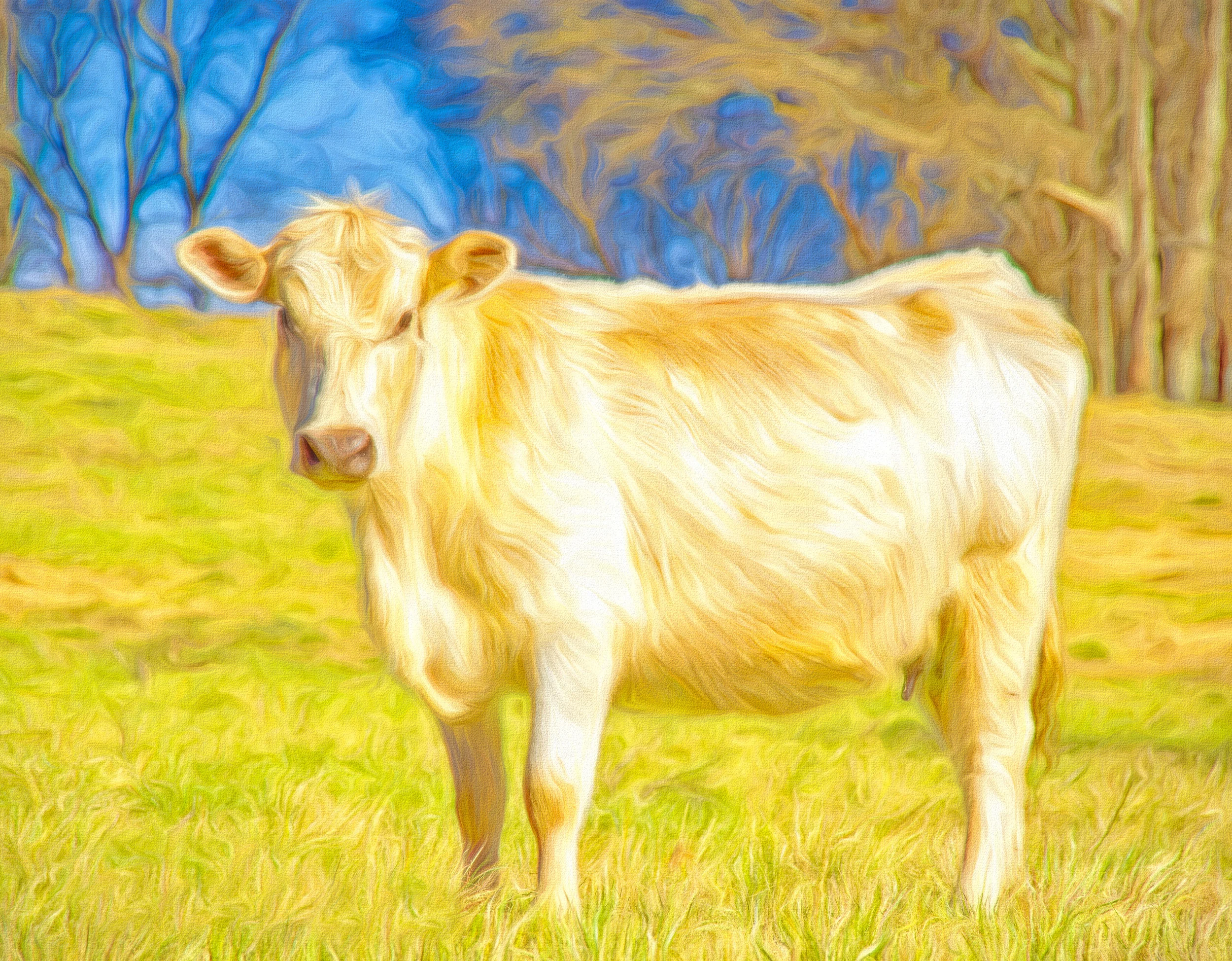 2019-02-13 001 189 - Copy MERGED TOPAZ TEXTURE PAINTING SIZED.jpg