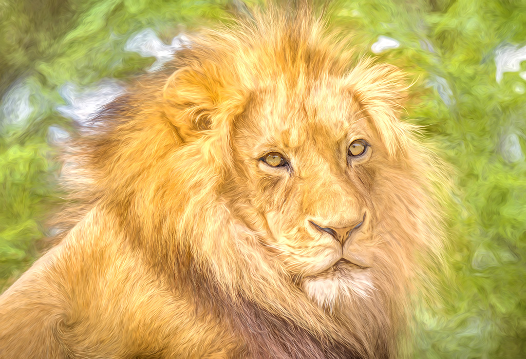2019-04-17 001 021 - Copy MERGED TOPAZ sized.jpg