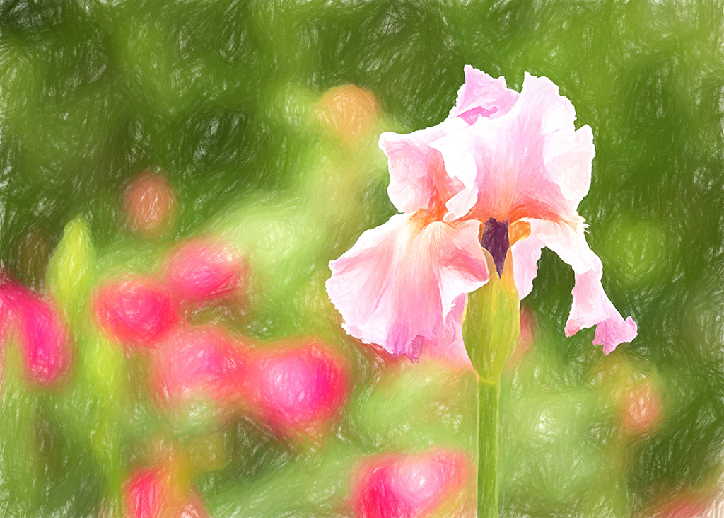 2019-04-09 001 011 - Copy MERGED - Copy TOPAZ HEALING merged sized.jpg