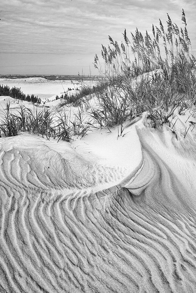 2020-09-16 002 715 - Copy-Edit MERGED BW merged SIZED.jpg