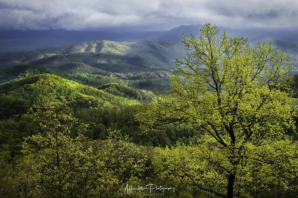 Heart Open: Mother's Day Mountaintop