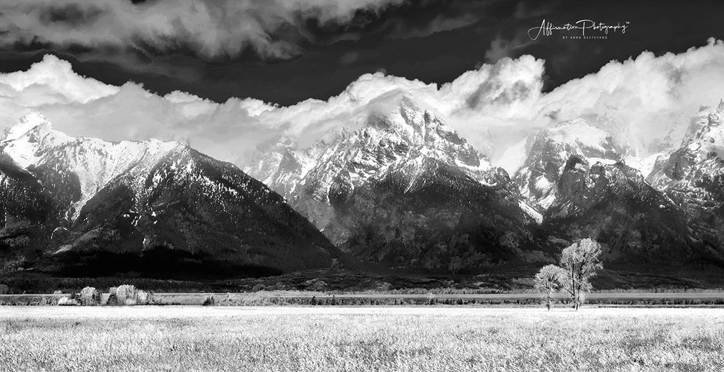 2021-05-26 001 284 SCALE merged 2 crop BW-1 SIZED - Copy.jpg