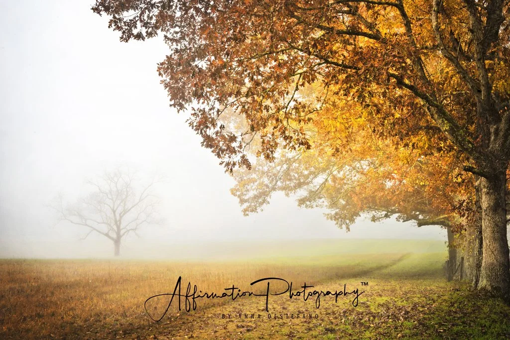 Tamron America Photo Competition WINNER!