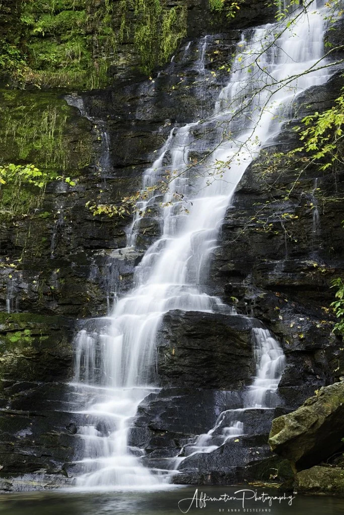 2021-10-17 001 156 merged 2 SIZED-1.jpg