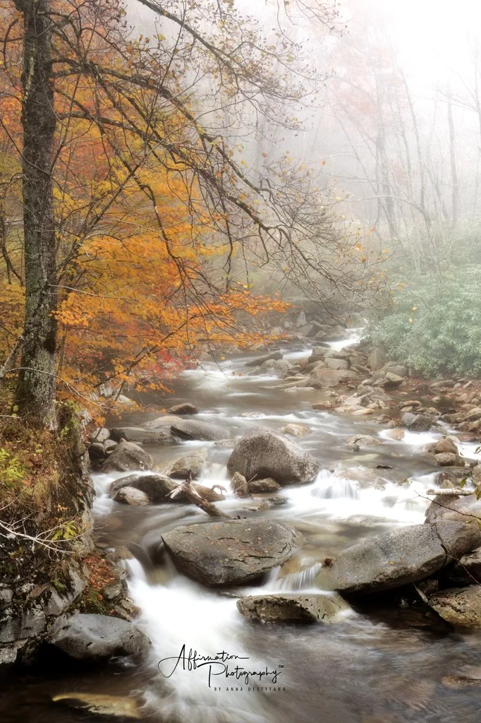 2025-10-28 001 181 MERGED-1 SIZED.jpg