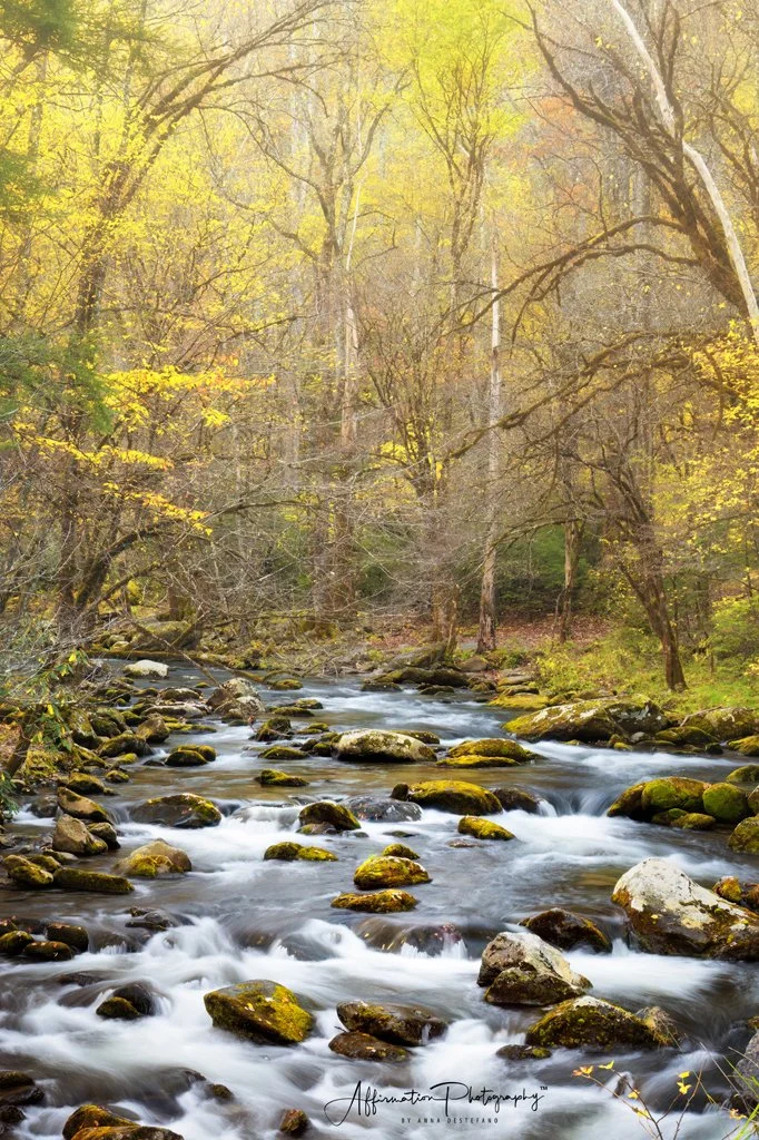 2025-11-01 001 253 MERGED-1 SIZED.jpg