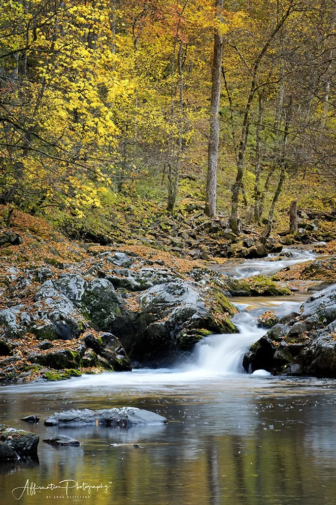 2024-10-29 001 260 merged-1 SIZED.jpg