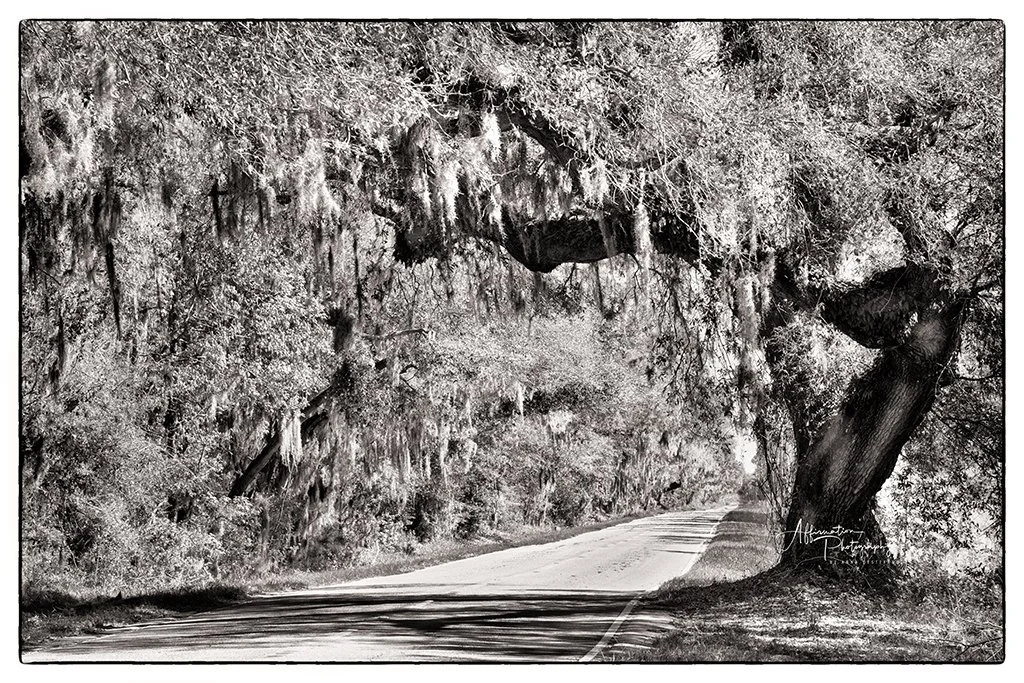 2024-03-28 002 439 bw copy-2 sized.jpg