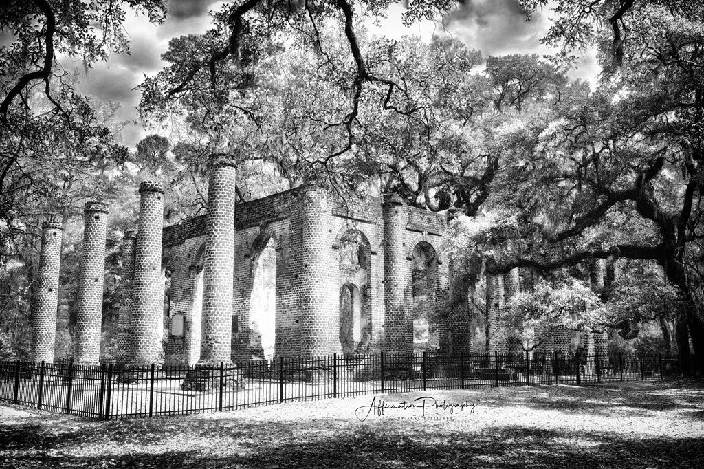 2025-03-19 002 347 MERGED BW-1 SIZED.jpg