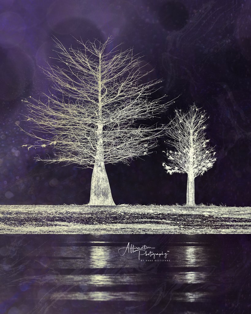 2020-12-15 002 498-Edit merged 2 CROP SPARKLING mereged MIX LAV DARK OVERLAY-gigapixel-standard-scale-2_00x-1 SIZED.jpg