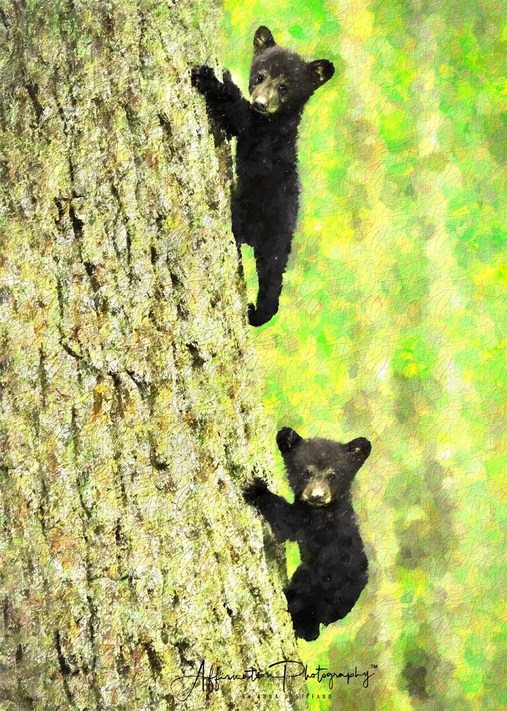 2021-05-13 001 666-Edit merged 2 TOPAZ ILLUSTRATION merged CONFETTI without AI Remix merged 2-1 sized.jpg