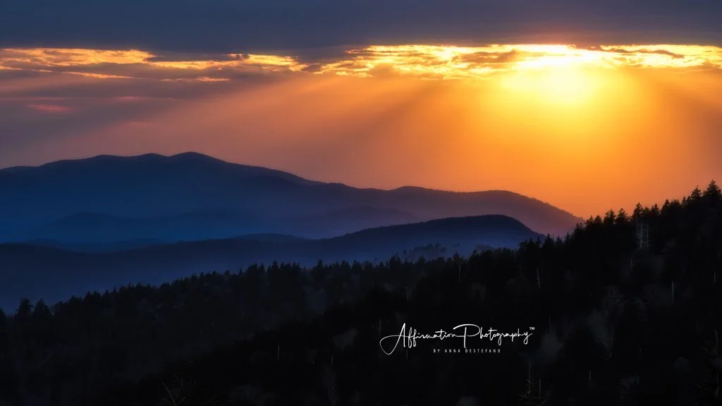 2021-04-13 001 729 MERGED-1.jpg