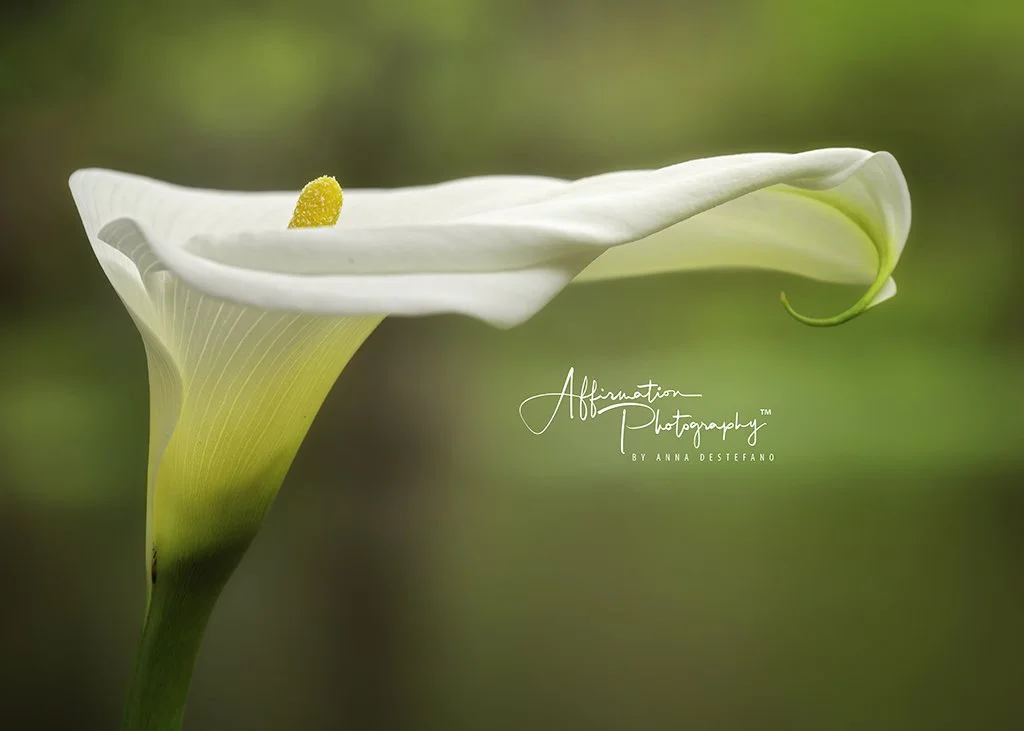 2024-03-25 001 168-Edit copy-1 SIZED.jpg