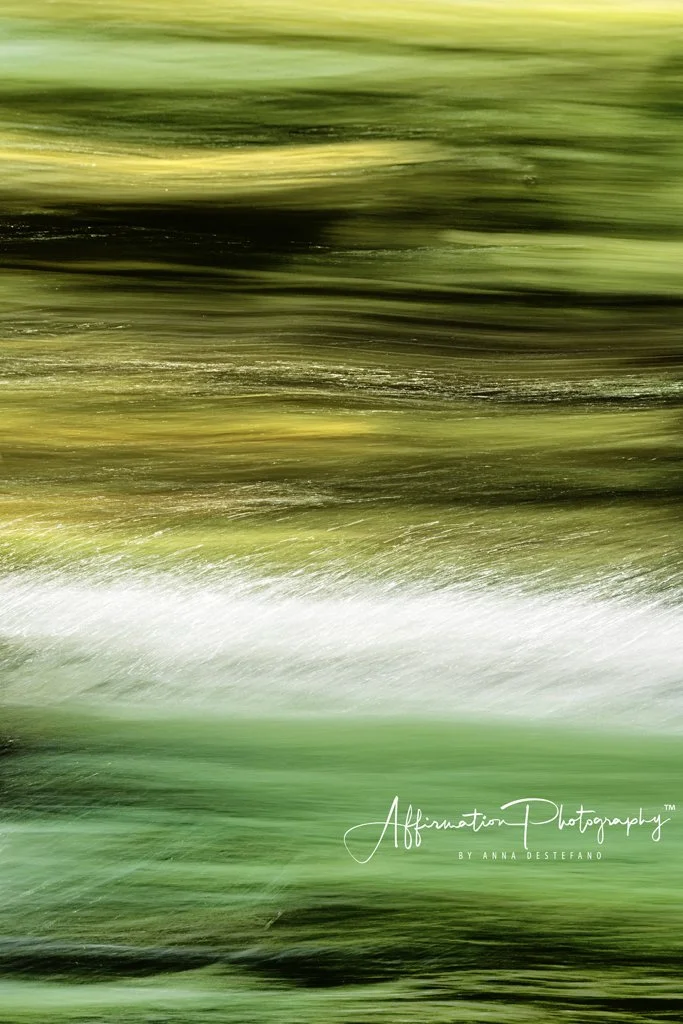 2020-08-15 003 505 - Copy MERGED 2-denoise-1.jpg