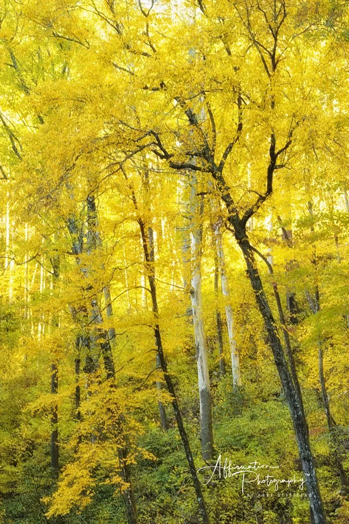 2021-10-27 001 036 MERGED-1 SIZED.jpg