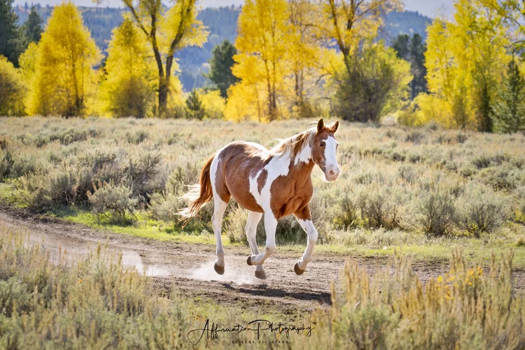 2024-09-23 002 055-1 SIZED.jpg