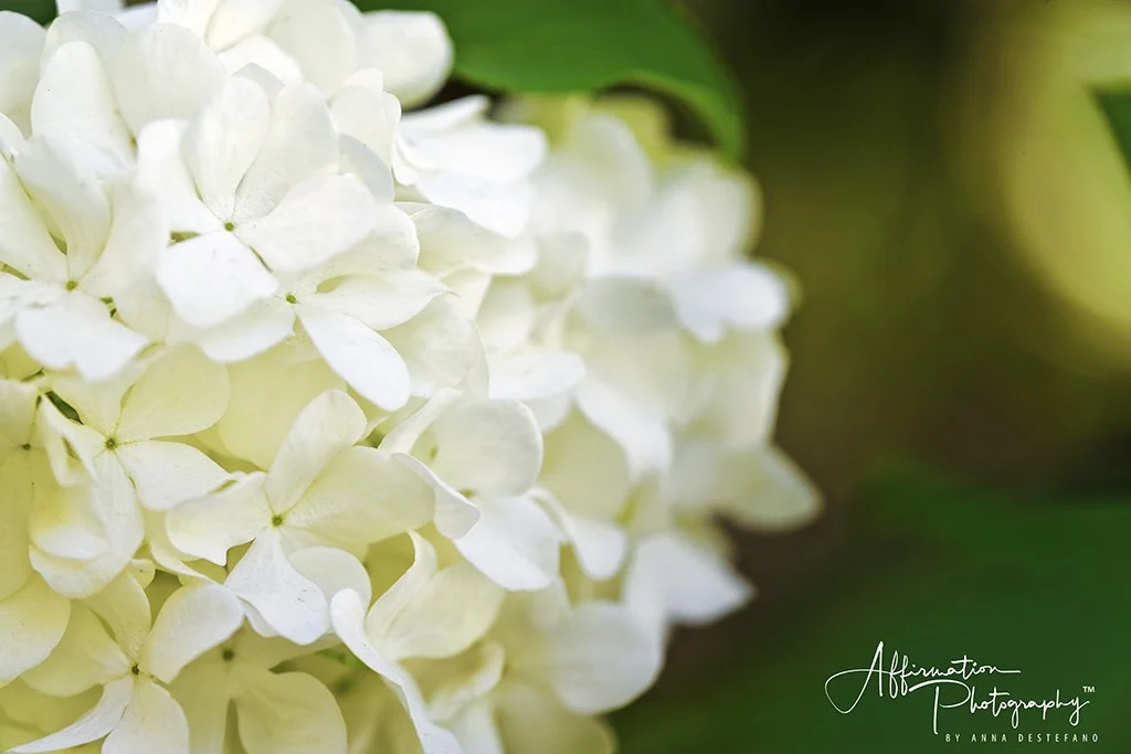 2020-04-17 001 081 - Copy-Edit MERGED-denoise 2-1 SIZED.jpg