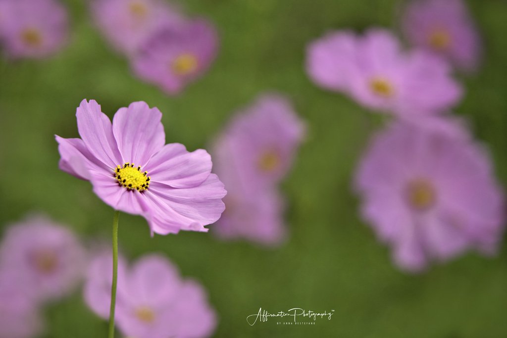 2021-10-08 001 234-1 sized.jpg