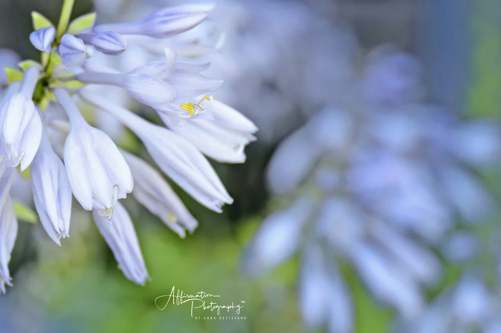 2024-08-24 001 194-1 SIZED.jpg