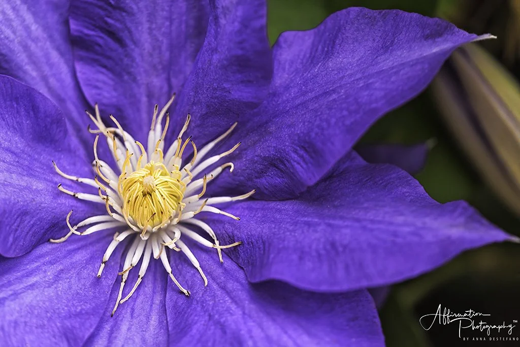 2020-04-22 001 254 - Copy-Edit merged 2-denoise-1 SIZED.jpg