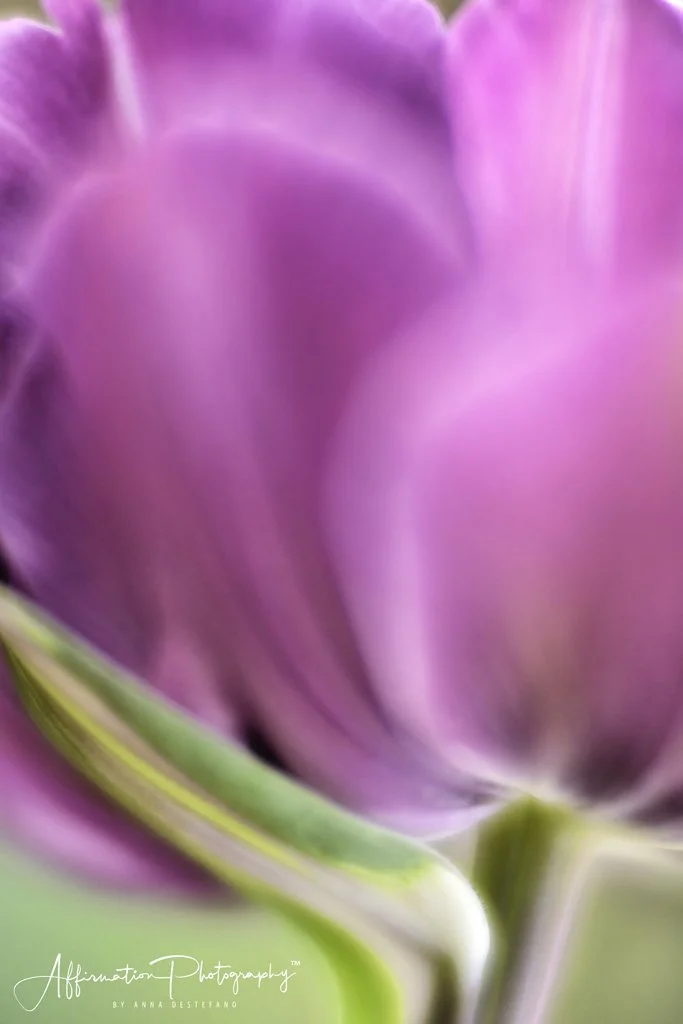 2022-03-06 002 340 merged-1 SIZED.jpg