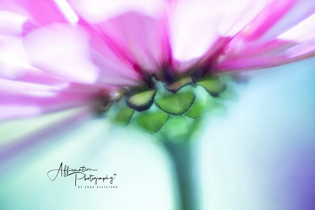 2019-08-28 002 016 - Copy merged 3-1.jpg