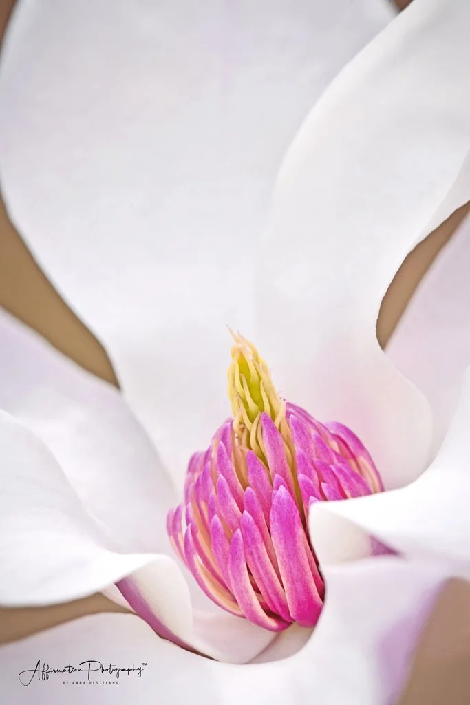 2021-03-09 001 057 merged-1 SIZED.jpg