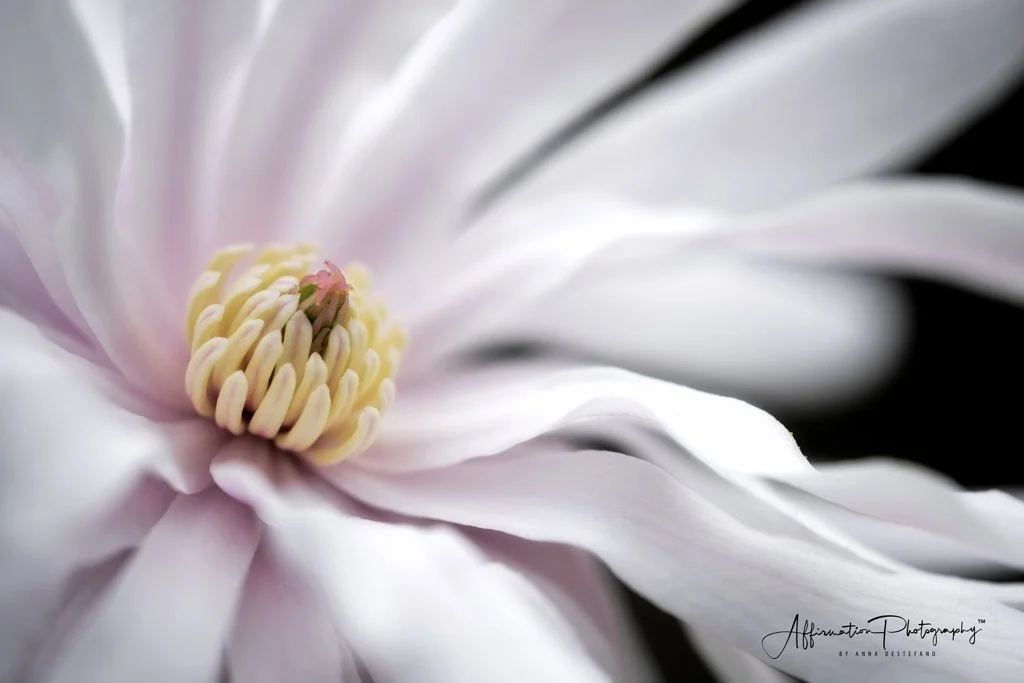 2022-03-06 002 127-Edit merged-1 SIZED.jpg