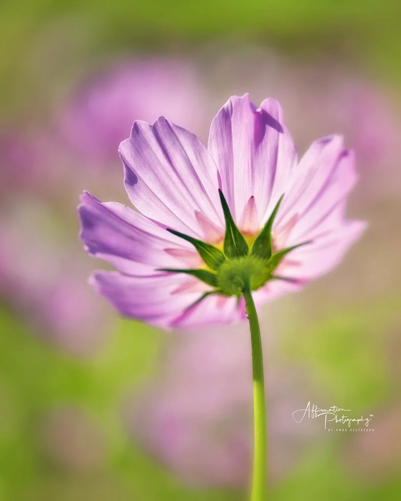 2021-10-08 001 043 merged-1 SIZED.jpg