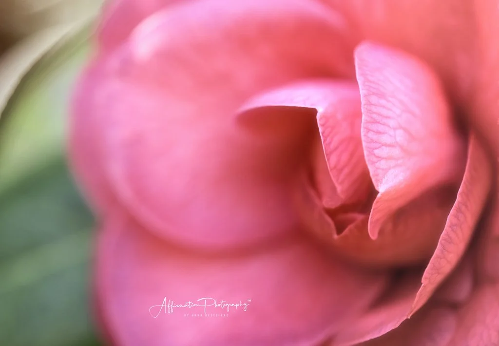 2019-02-07 001 173-HDR-1.jpg