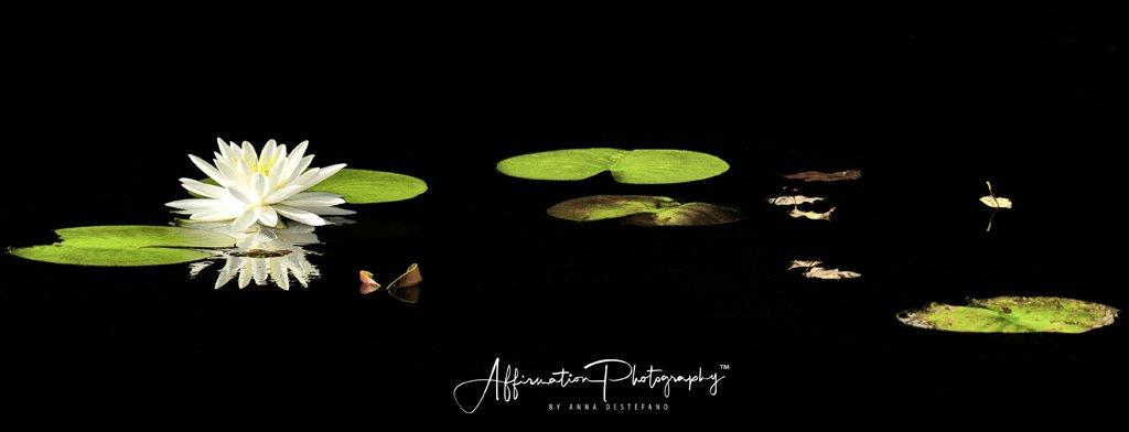 2020-09-03 001 027 MERGED 3 crop-1 sized.jpg