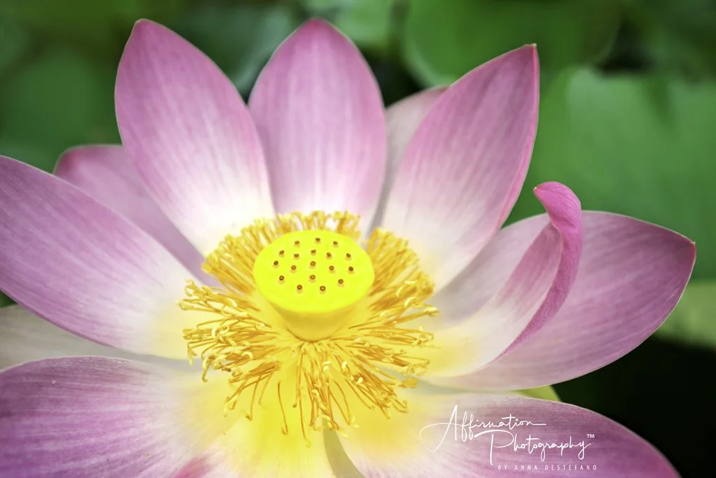 2021-06-25 001 222-Edit merged 2-1 SIZED.jpg