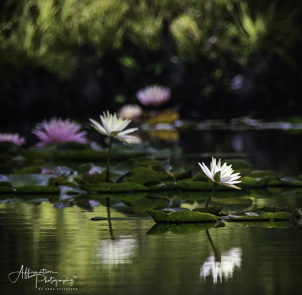 2020-06-09 001 234 merged 3-1 SIZED.jpg