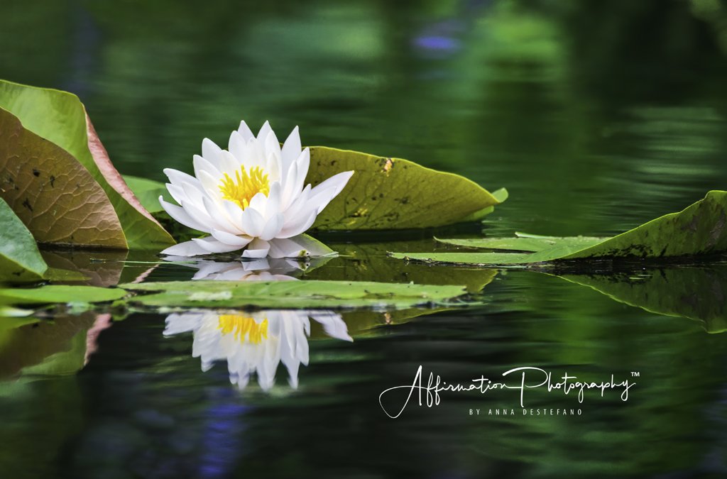 2020-06-09 001 153 clone MERGED 2-denoise-denoise 2-1.jpg