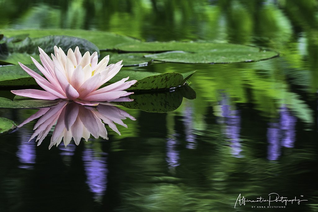 2020-06-09 001 519 REWORK merged 3-1 SIZED.jpg