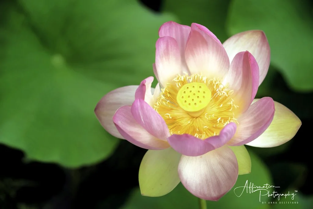 2021-06-25 001 157 merged 2-1 sized.jpg