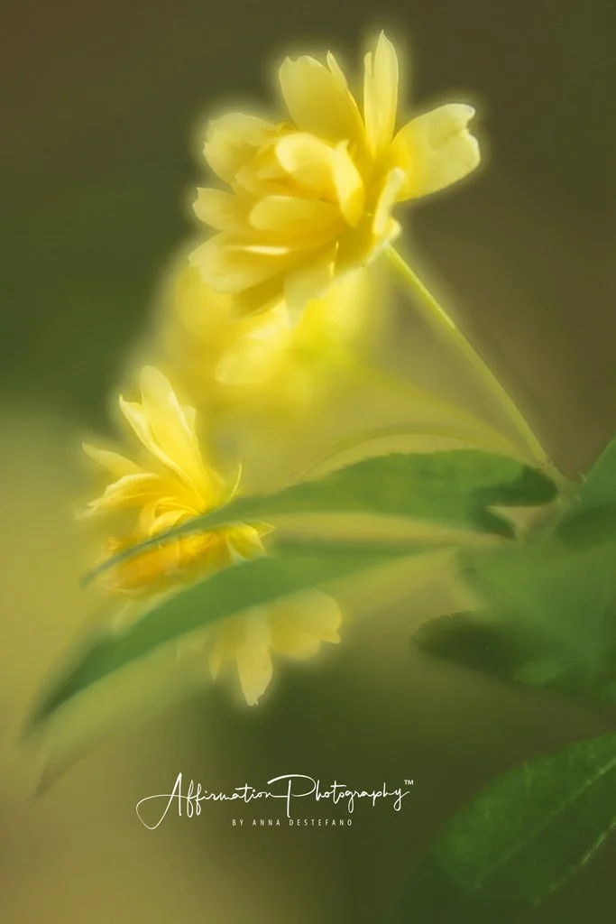 2018-04-01 001 349 BRIGHTER 2 crop - Copy MERGED 2-1.jpg