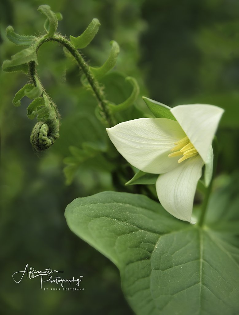 2021-04-13 001 1170 MERGED-1 SIZED.jpg