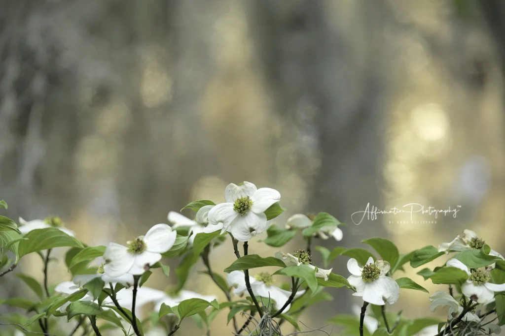 2022-03-21 001 529 sized-1.jpg