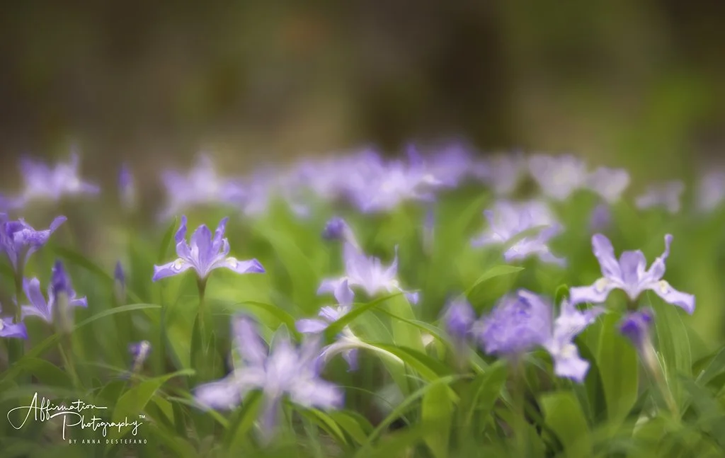 2021-04-21 004 347-Edit-1 SIZED.jpg