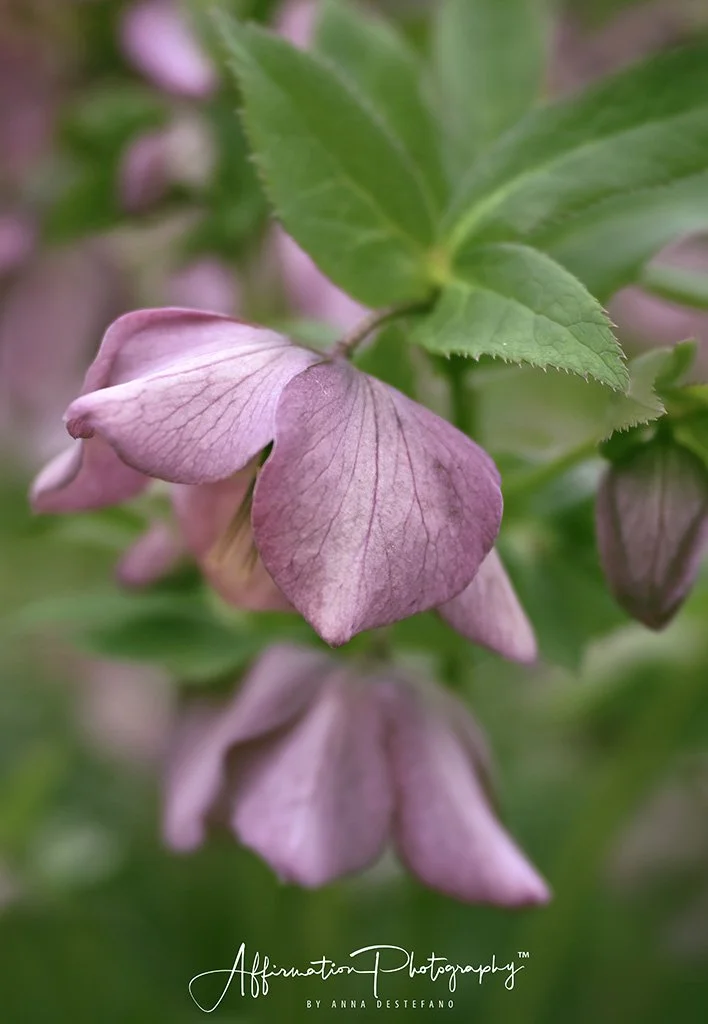 2021-03-01 001 039-1 SIZED.jpg