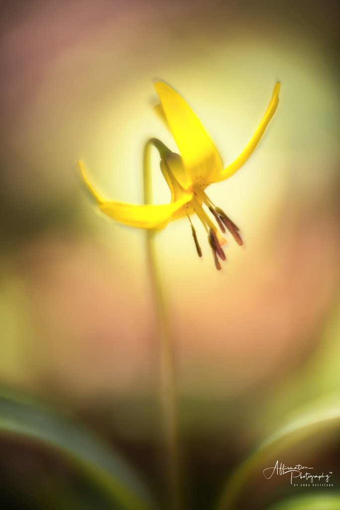 2022-04-07 001 048-1 SIZED.jpg