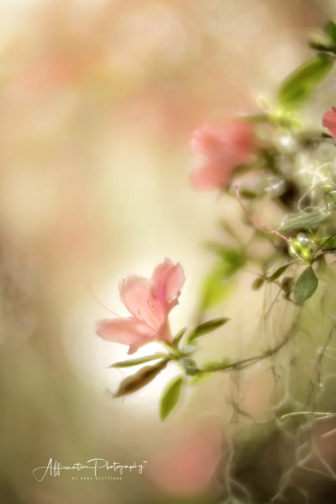 2022-03-21 002 376-Edit merged-1 SIZED.jpg