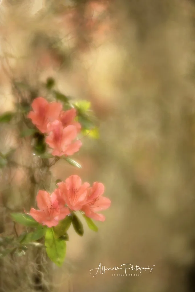 2022-03-21 002 388-Edit merged-1 SIZED.jpg