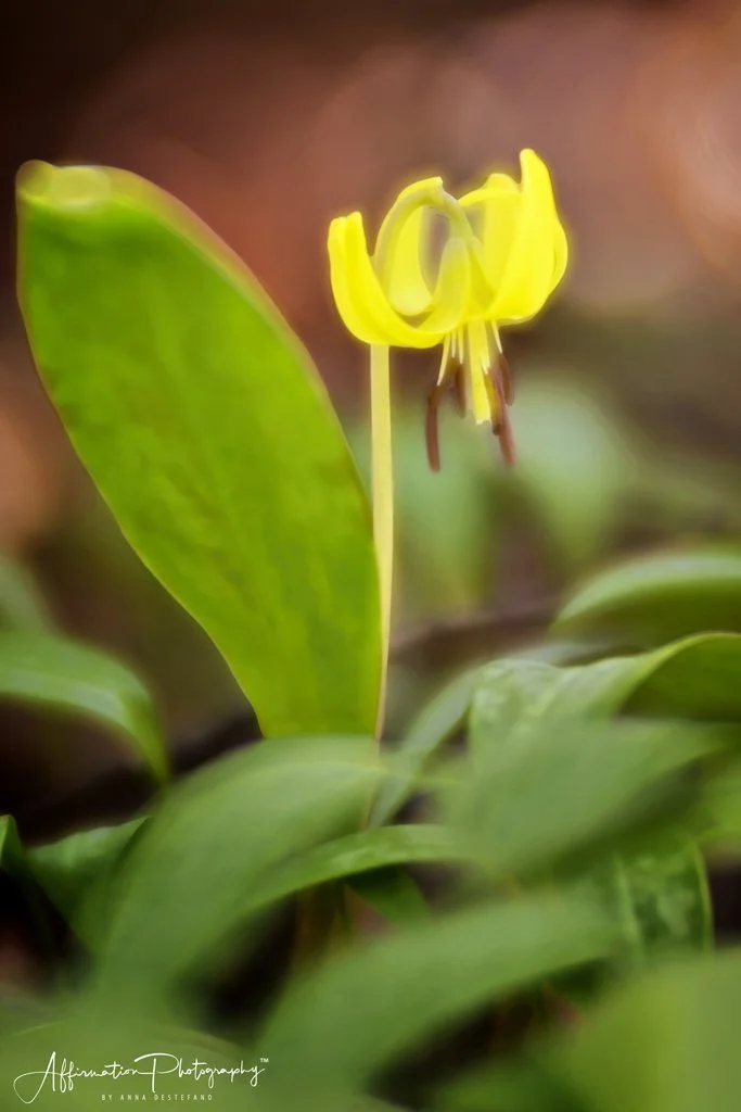 2022-04-04 001 088 MERGED 2-1 SIZED.jpg