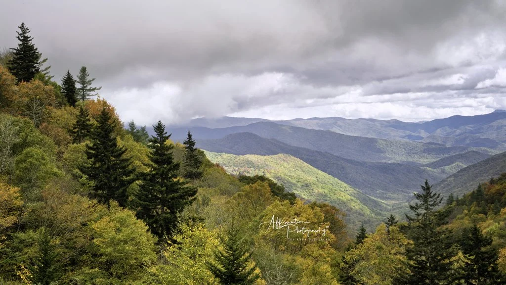 2021-10-16 003 146 merged 3 cropped-1.jpg